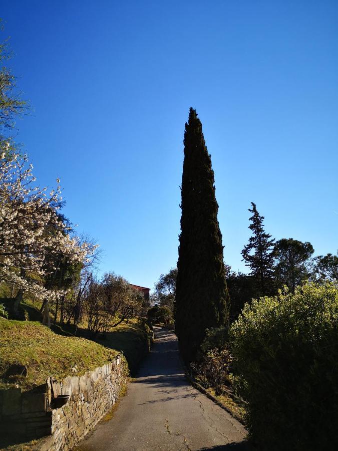 La Vivagna - Casa Vista Mare Tra Gli Ulivi Vila Leivi Exterior foto