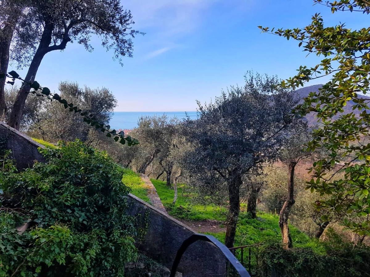 La Vivagna - Casa Vista Mare Tra Gli Ulivi Vila Leivi Exterior foto
