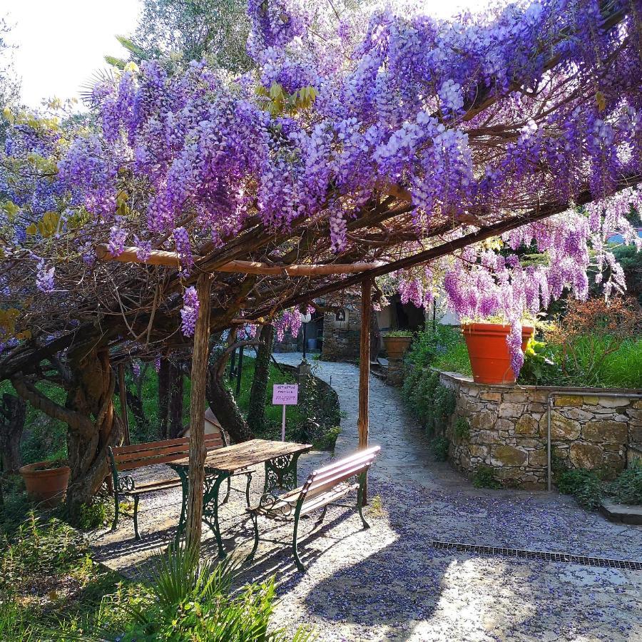 La Vivagna - Casa Vista Mare Tra Gli Ulivi Vila Leivi Exterior foto